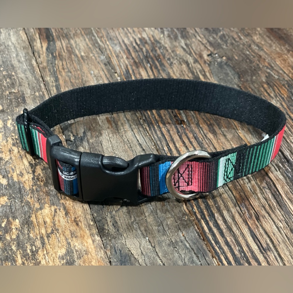BUCKLE-DOWN Striped Dog Collar - used for photo shoot only